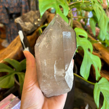 Load image into Gallery viewer, Natural Himalayan Quartz Point