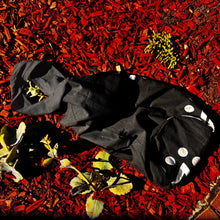 Load image into Gallery viewer, Mushroom Hunter, Sun Chasing Foraging Bag