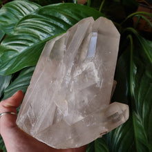 Load image into Gallery viewer, Natural Clear Quartz Cluster~ Healing ~ Cleansing ~ Purifying