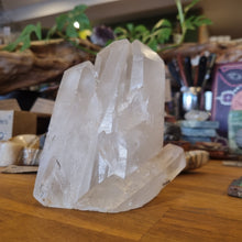 Load image into Gallery viewer, Natural Clear Quartz Cluster~ Healing ~ Cleansing ~ Purifying