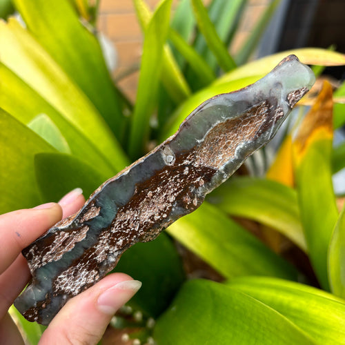 Australian Green Chrysoprase Semi Polished Slice
