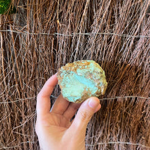 Load image into Gallery viewer, Rough Australian Turquoise Piece ~ Acceptance ~ Soothes ~ Calms Mood ~ Balance