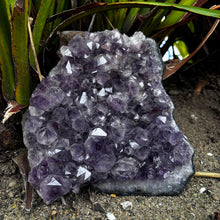 Load image into Gallery viewer, Natural Amethyst Cluster Plate