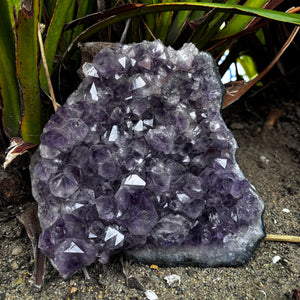 Natural Amethyst Cluster Plate