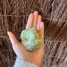 Load image into Gallery viewer, Rough Australian Turquoise Piece ~ Acceptance ~ Soothes ~ Calms Mood ~ Balance