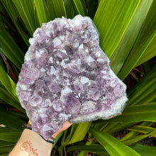 Load image into Gallery viewer, Natural Amethyst Cluster Plate