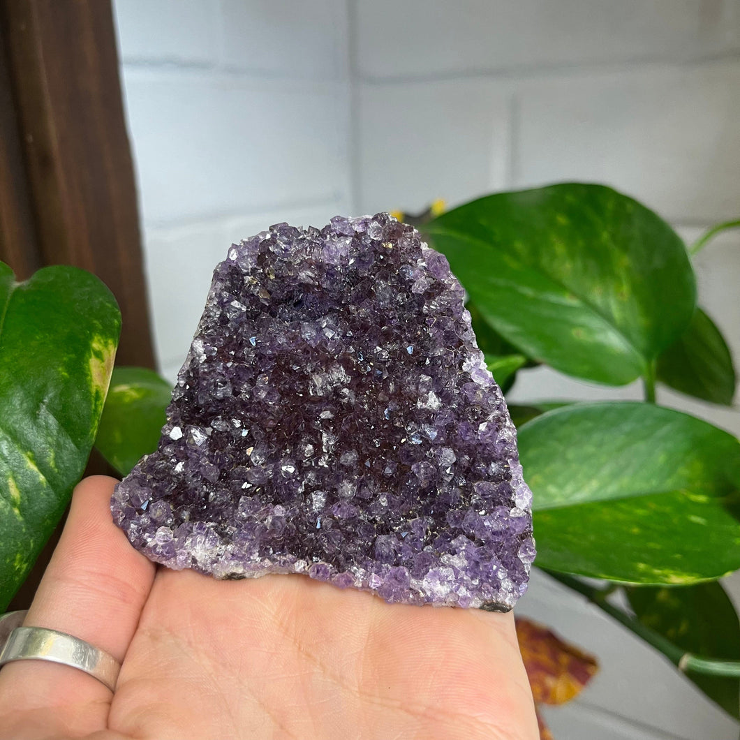 Amethyst Geode #3 - Great for Intuition and Psychic Abilities