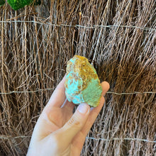 Load image into Gallery viewer, Rough Australian Turquoise Piece ~ Acceptance ~ Soothes ~ Calms Mood ~ Balance