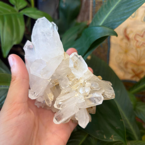 Clear Quartz Cluster ~ healing ~ cleansing ~ puryifying