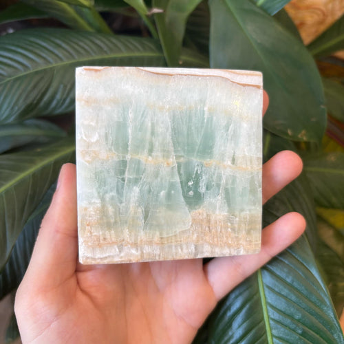 Caribbean Calcite Charging Plate #1