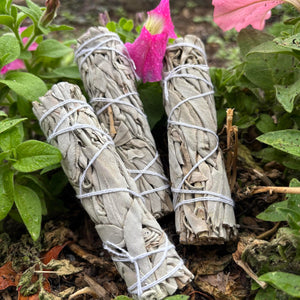 White Sage Smudge Sticks - Clear & Cleanse your space