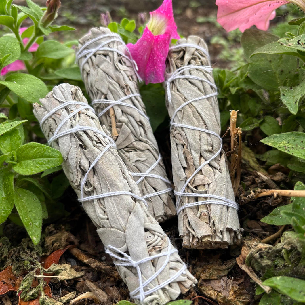 White Sage Smudge Sticks - Clear & Cleanse your space