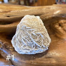 Load image into Gallery viewer, Desert Rose specimens