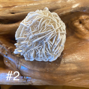Desert Rose specimens