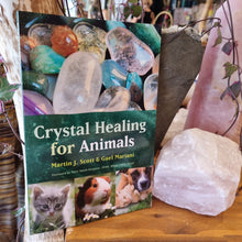 Load image into Gallery viewer, Crystal Healing For Animals