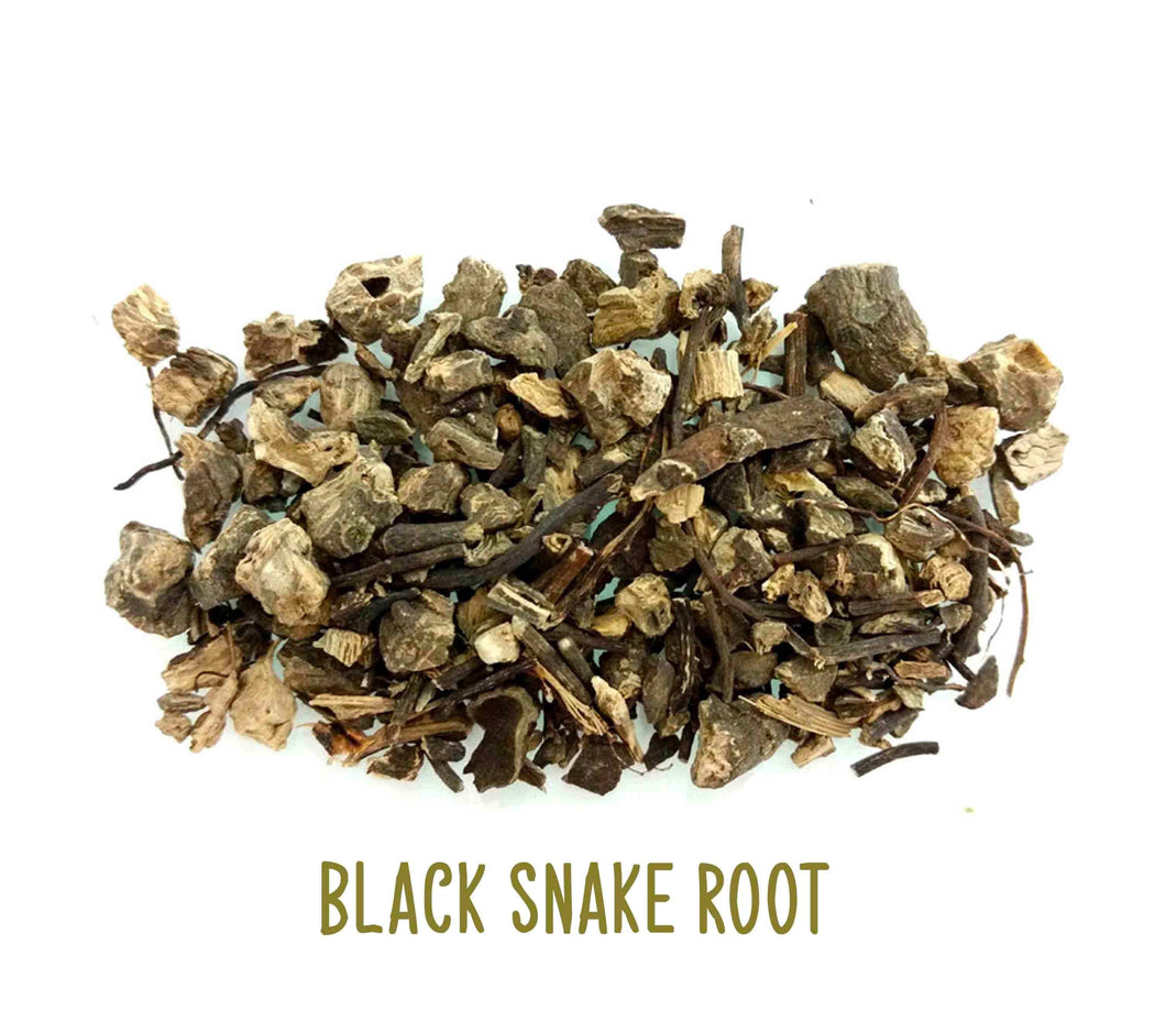 Black Snake Root ~ Dried Herbs ~ Spells ~ Teas ~ In Stock