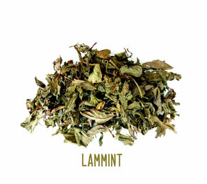 Lammint ~ Dried Herbs ~ Spells ~