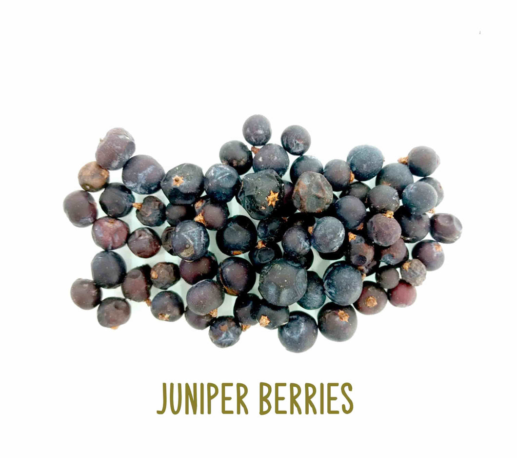 Juniper Berries ~ Dried Herbs ~ Spells ~ Teas ~ In Stock