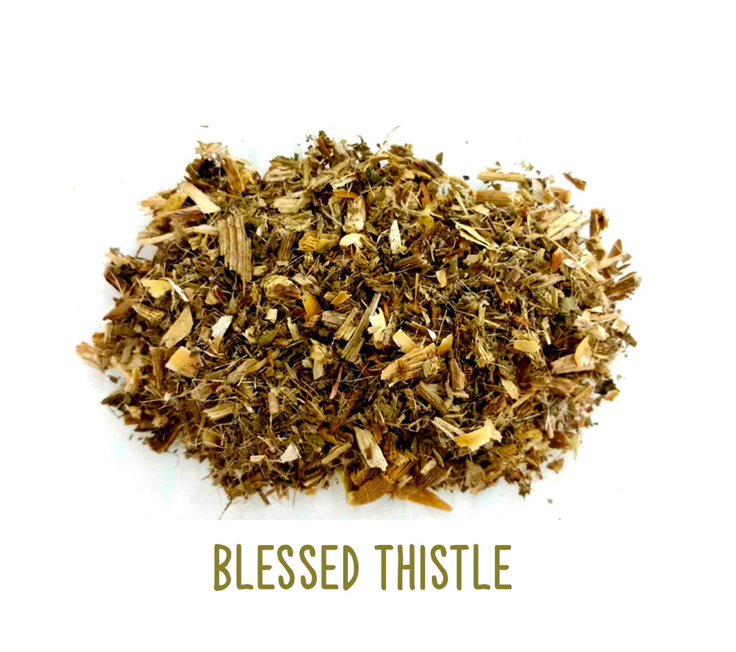Blessed Thistle ~ Dried Herbs ~ Spells ~ Teas ~ In Stock