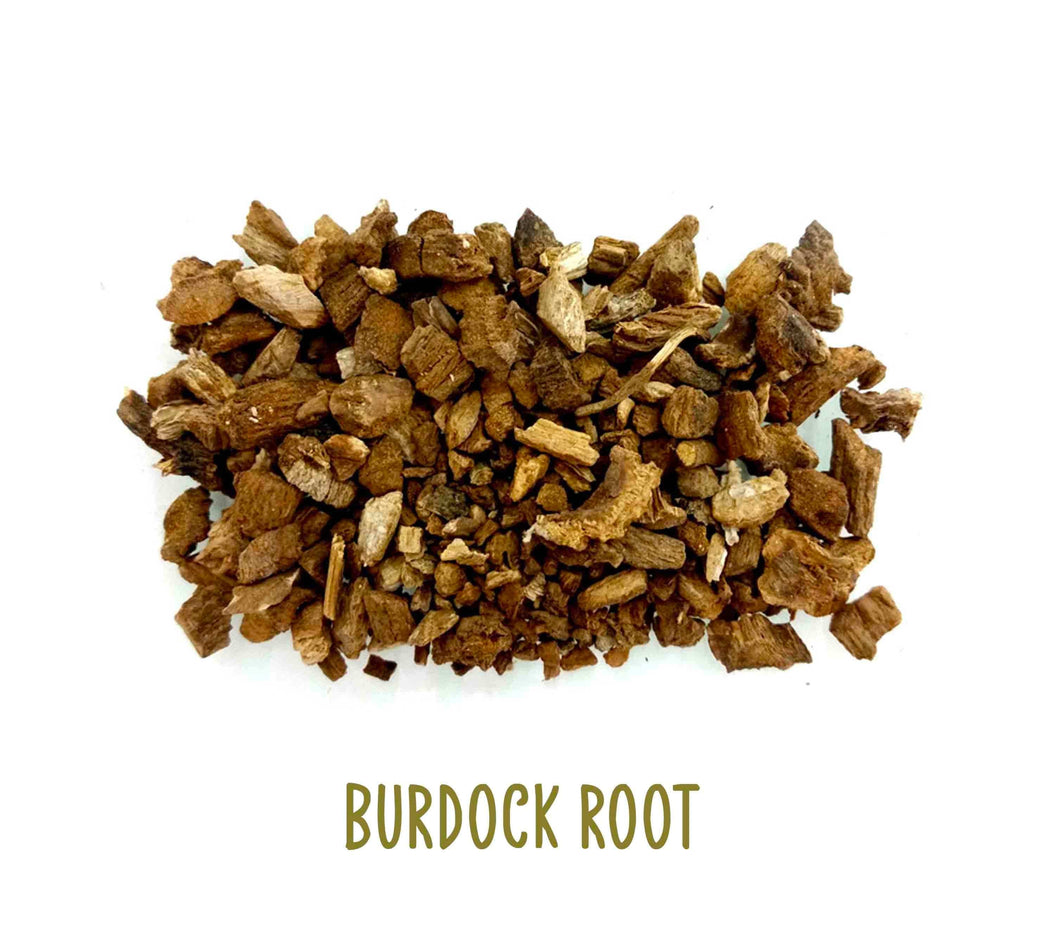 Burdock Root ~ Dried Herbs ~ Spells ~ Teas ~ In Stock