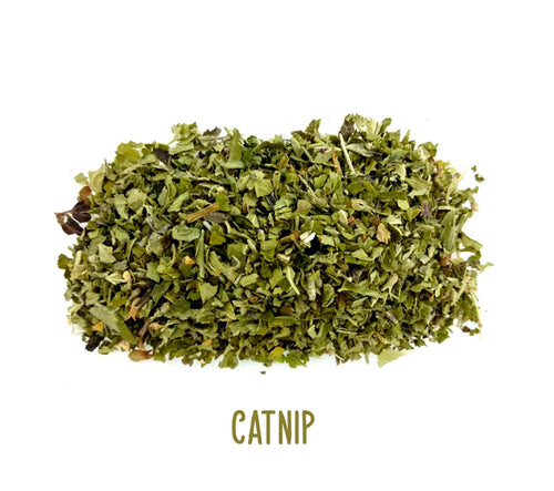 Catnip ~ Dried Herbs ~ Spells ~