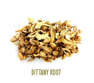 Dittany Root ~ Dried Herbs ~ Spells ~ Teas ~ In Stock