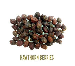Hawthorn Berries ~ Dried Herbs ~ Spells ~ Teas ~ In Stock