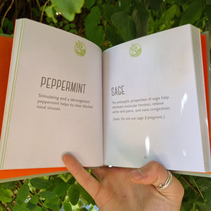 The little book of Herbalism