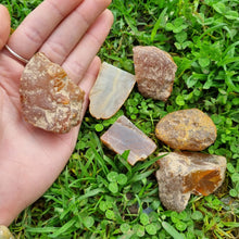 Load image into Gallery viewer, Rough Carnelian ~ Creativity ~ Joy ~ Energizing