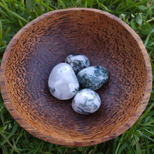 Load image into Gallery viewer, Tree Agate Tumble Stone