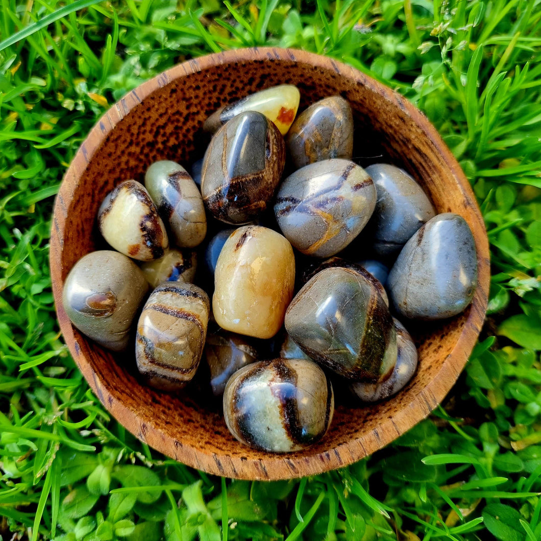 Septarian Tumbled Stone