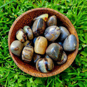 Septarian Tumbled Stone