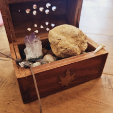 Load image into Gallery viewer, Little Adventurers Box ~ Future Fossickers
