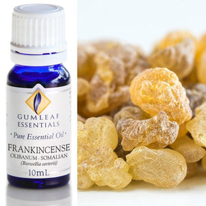 Frankincense Olibanum Essential oil