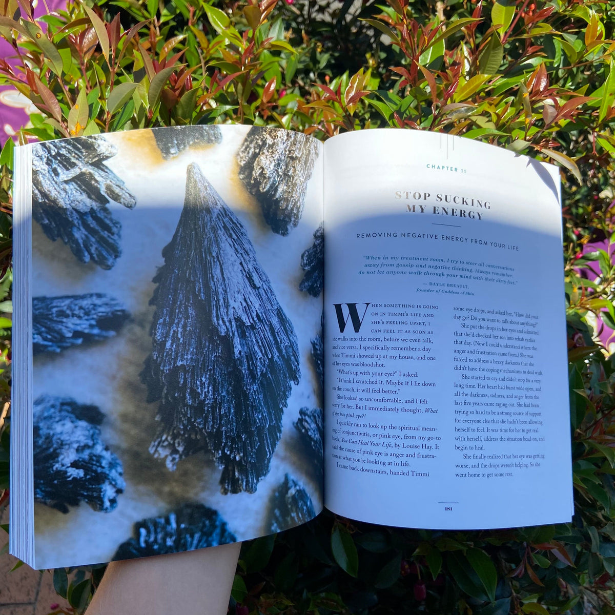 Crystal Muse Everyday Rituals To Tune In To The Real You – Kiki The ...