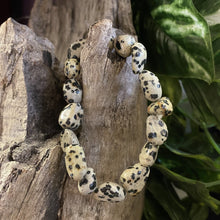 Load image into Gallery viewer, Dalmatian Jasper Tumble Stone Bracelet