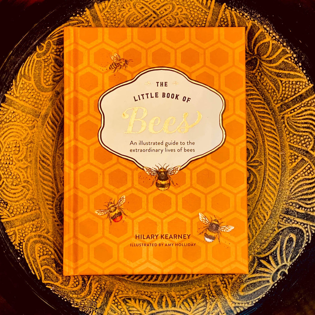 The Little Book of Bees - An Illustrated Guide to the Extraordinary Lives of Bees