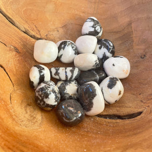 Zebra Stone Tumbles - Black and White Jasper