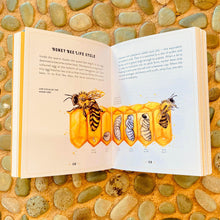 Load image into Gallery viewer, The Little Book of Bees - An Illustrated Guide to the Extraordinary Lives of Bees