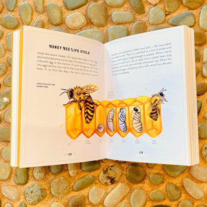 The Little Book of Bees - An Illustrated Guide to the Extraordinary Lives of Bees