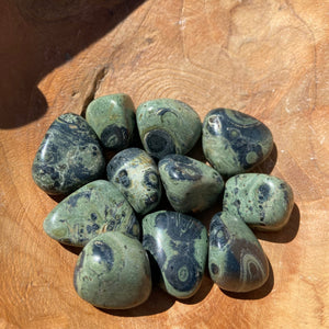 Kambaba Jasper Tumble Stone ~ Peace Tranquility ~ Earth Energy