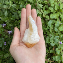 Load image into Gallery viewer, Rough Citrine Points