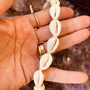 Shell Necklace Choker - White - Ocean Mermaid Vibes